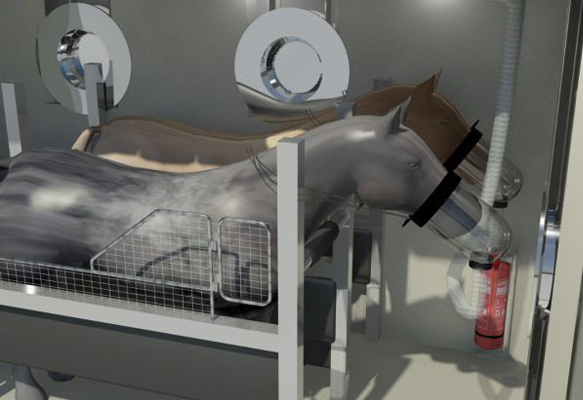 camaras hiperbaricas